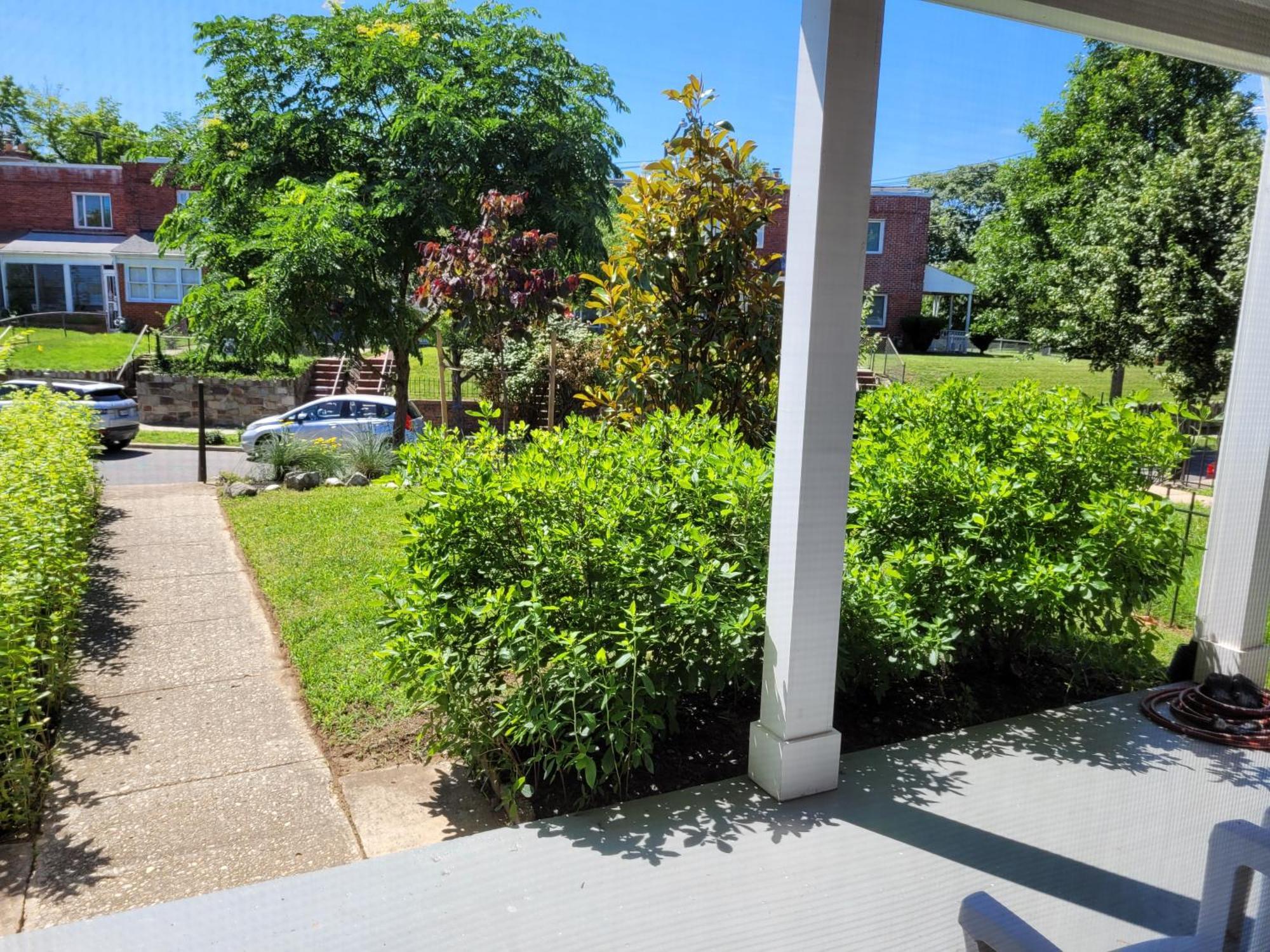 Capitol Hill Adj Home With Parking And Easy Access To Downtown Washington Luaran gambar